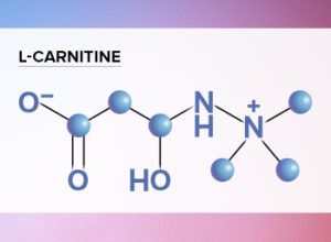 L-carnitine