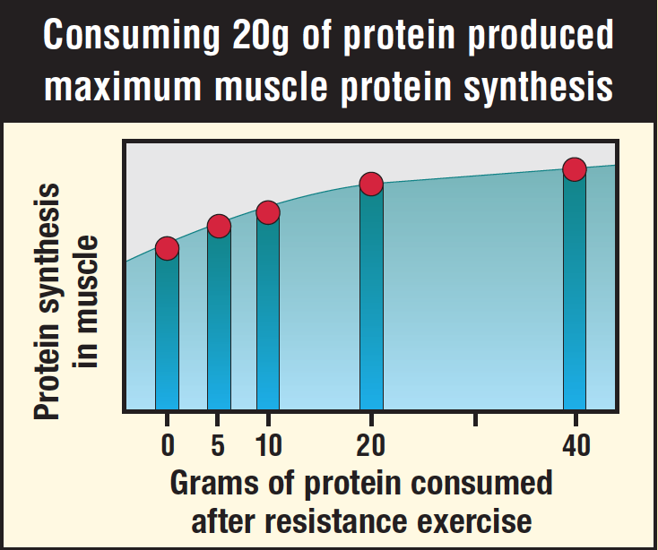 3 Factors That Affect Muscle Growth Do You Lack Any Of These 